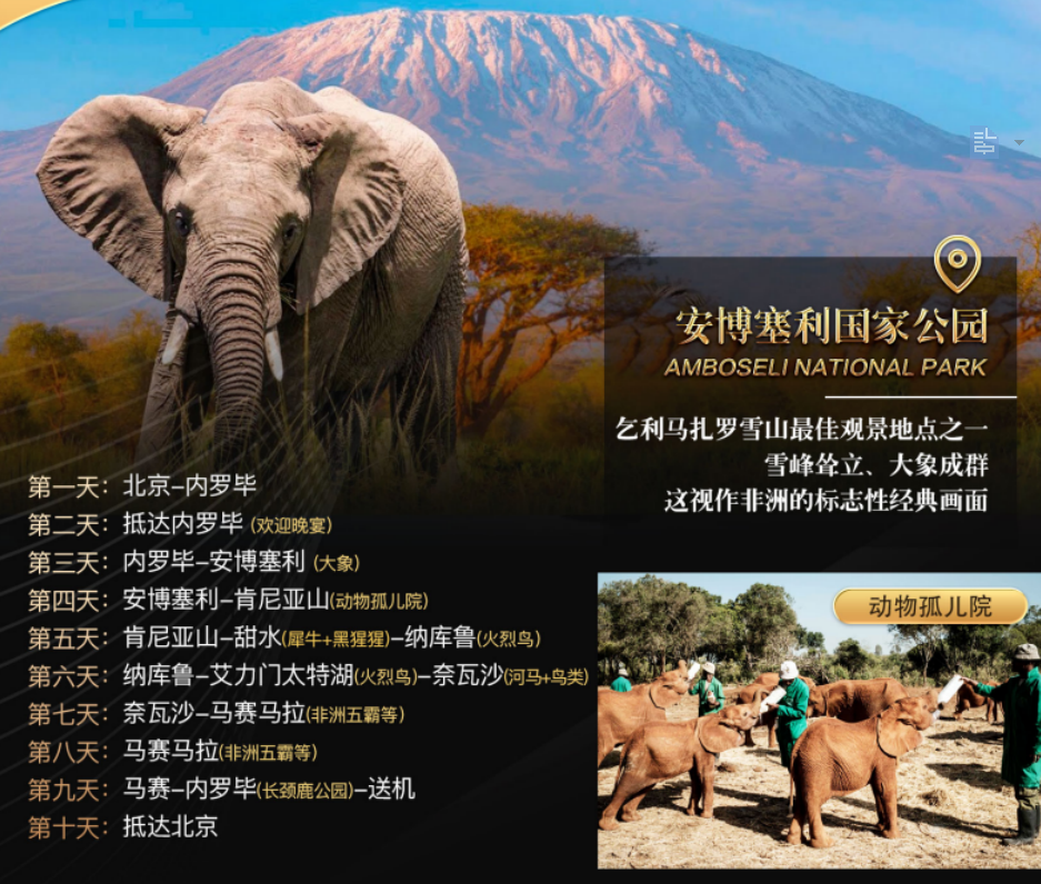 <肯尼亚10日游>肯尼亚经典顶配10日游 阿联酋航空 全程五星 VIP20人小团                                     